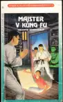 Majster v kung fu
