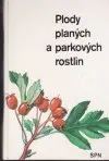 Plody planýcha parkových rostlin