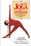 Jóga podle Iyengara (veľký formát)