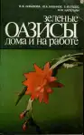 Зеленые оазисы дома и на работе