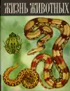 Жизнь животных — Том 4, часть 2 (veľký formát)