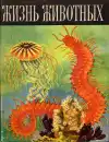 Жизнь животных — Том 1 (veľký formát)