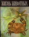 Жизнь животных — Том 2 (veľký formát)