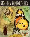 Жизнь животных — Том 3 (veľký formát)