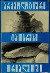 არქეოლოგია საქართველო - Archeológia Gruzínska (veľký formát)
