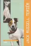 Jack Russell teriér