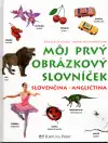 Môj prvý obrázkový slovníček (veľký formát)
