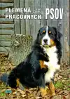 Plemená pracovných psov (veľký formát)