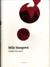 Zrkadlo dovnútra