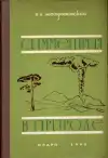 Симметрия в природе