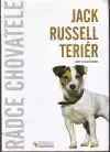 Jack Russel teriér