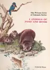 4 animals of pond and river (veľký formát)