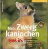 Mein Zwerg kaninchen und ich
