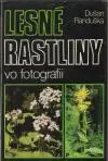 Lesné rastliny vo fotografii