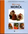 Býva s nami morča