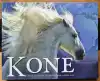 Kone (34 x 27,5 cm)