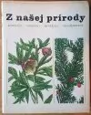 Z našej prírody - Rastliny, horniny, minerály... (veľký formát)