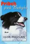 Príbeh psa Bukyho
