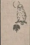 Sivá sova