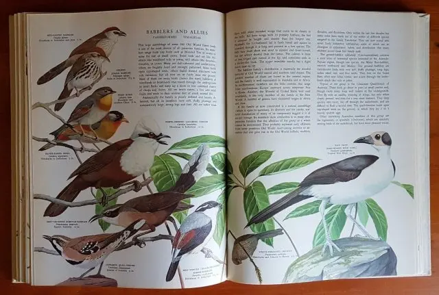 Birds of the World (veľký formát) ilustrované