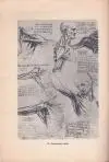 Leonardo da Vinci k 500 výročiu narodenia