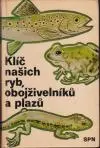 Klíč našich ryb, obojživelníků a plazů (menší formát)