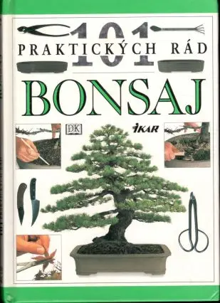Bonsaj (malý formát)